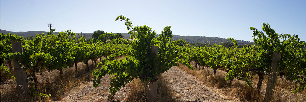 Robert Parker - Wine Advocate