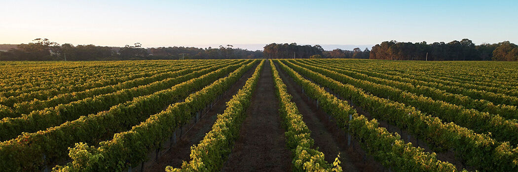 Robert Parker - Wine Advocate